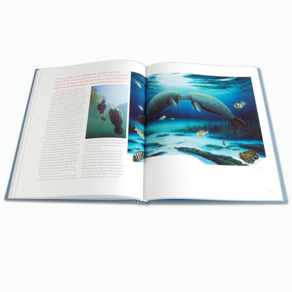 Wyland: 25 Years at Sea (2006) Limited Edition Collector's Fine Art Book by John Yow, with Preface by World-Renowned Artist Wyland. With Numbered, Hand Signed and Thumb-Printed Vellum Front P