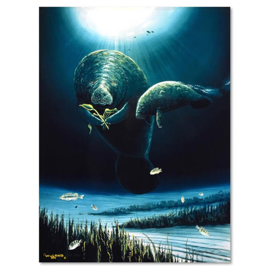 Wyland, "Save the Manatees" Hand Embellished Limited Edition Cibachrome, Numbered and Hand Signed with Certificate of Authenticity