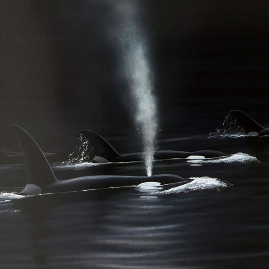 Wyland, "Ancient Orca Seas" Limited Edition Lithograph, Numbered and Hand Signed with Certificate of Authenticity.