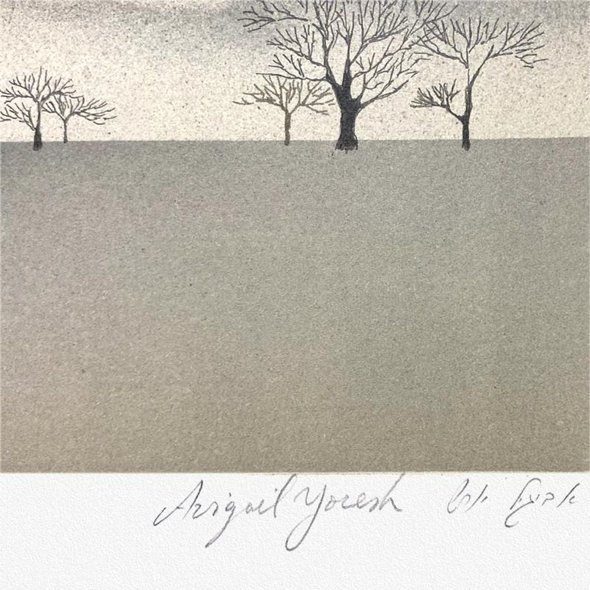 Avigail Yoresh, Limited Edition Serigraph, Numbered and Hand Signed with Letter of Authenticity.