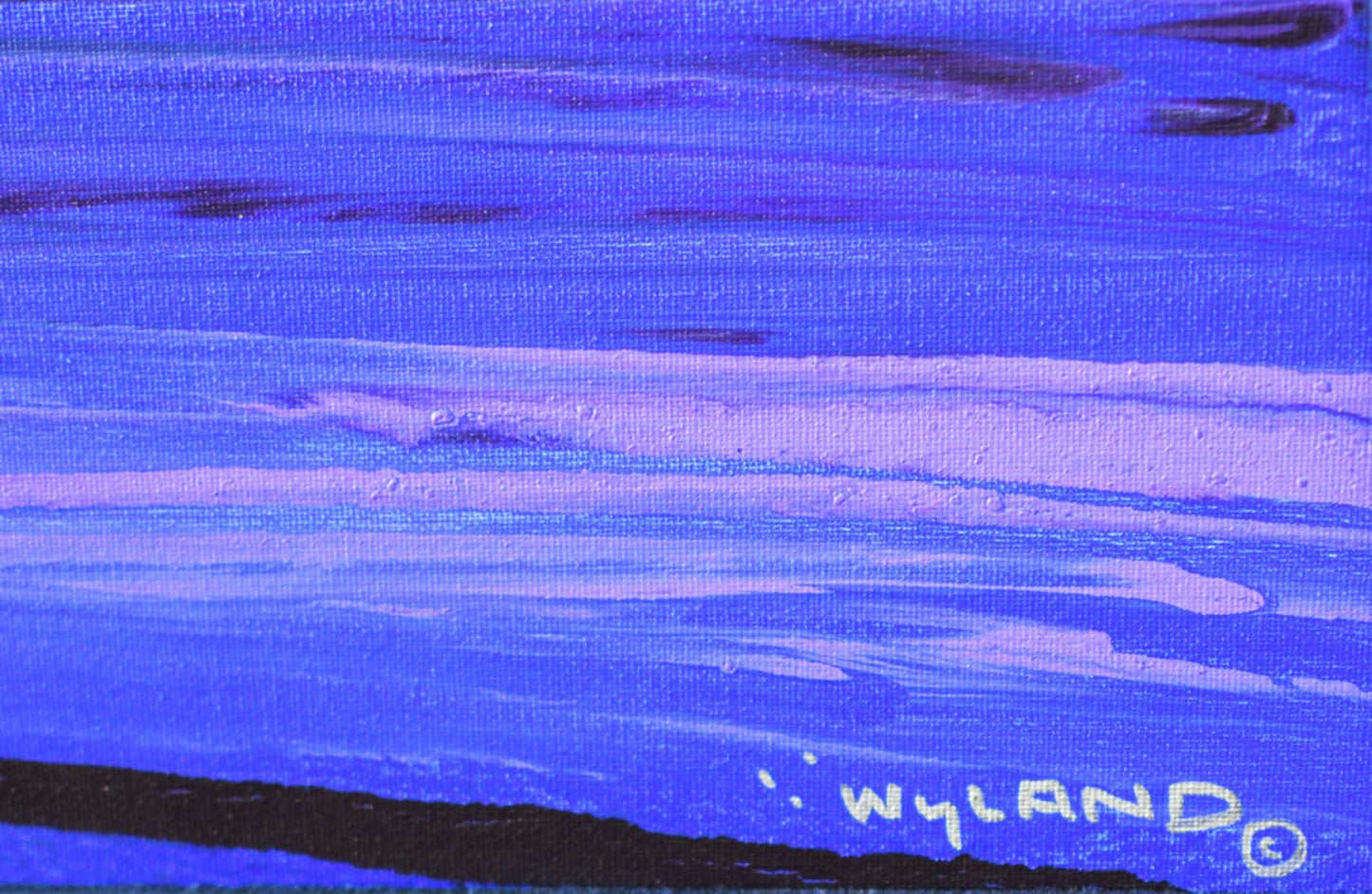 Wyland- Original Painting on Canvas "Ancient Swimmer"