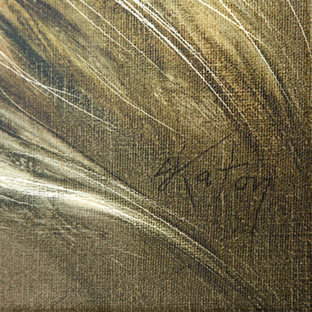 Martin Katon- Giclee on Canvas "White Lion"