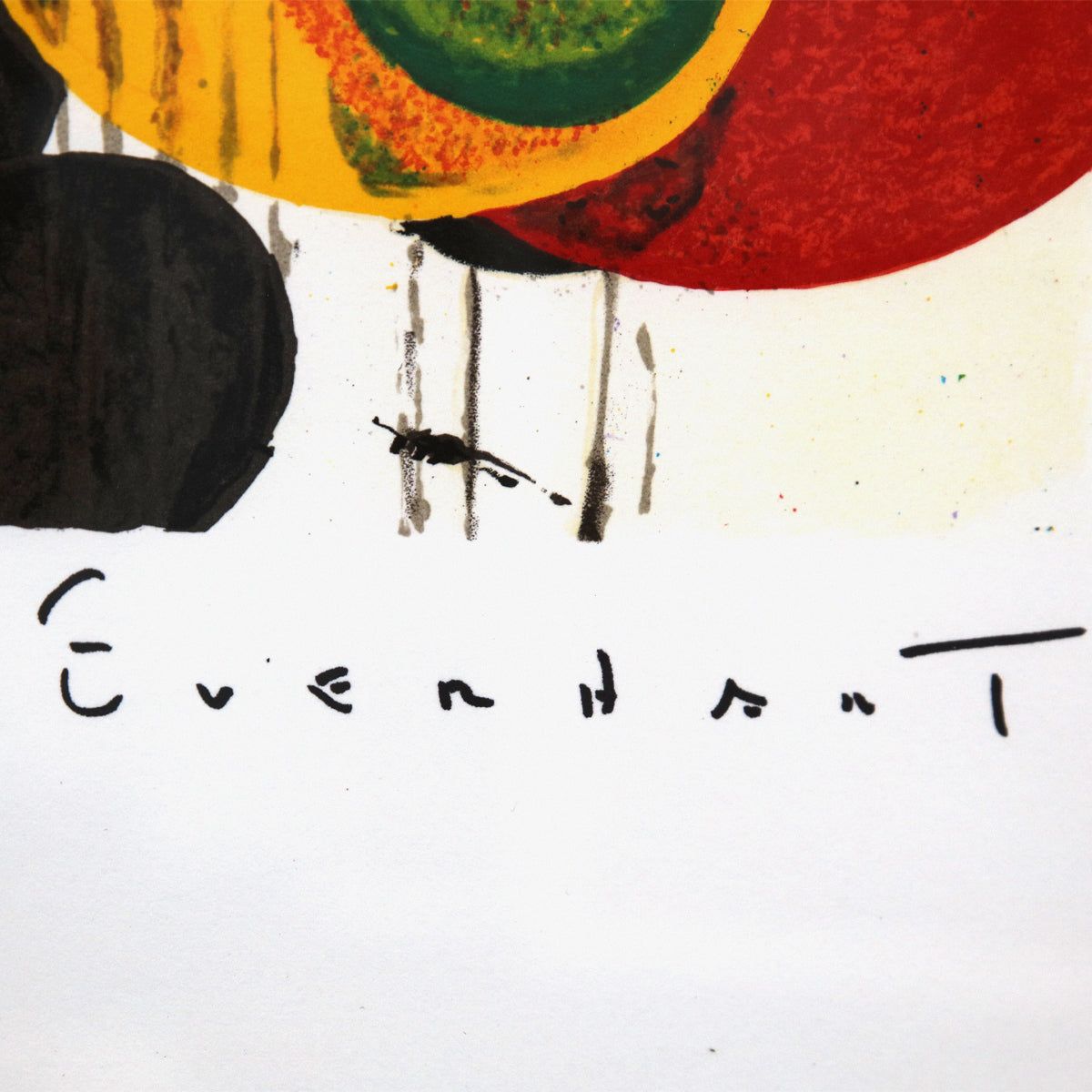 Tom Everhart- Hand Pulled Original Lithograph "Bird Of Paradise"