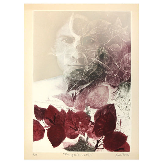 G.H Rothe- Mezzotint Etching "Bougainvillea"