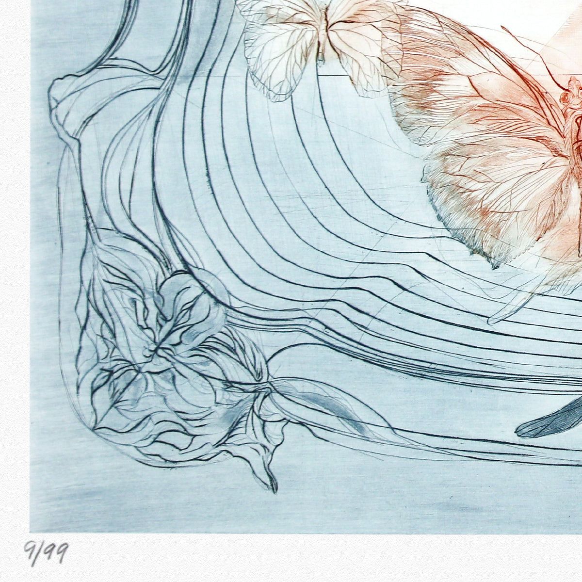 G.H Rothe- Mezzotint Etching "Dome of the Butterflies"