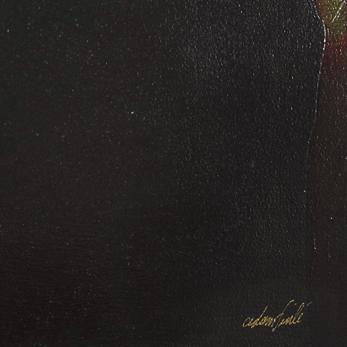 Adan Finli- "Passion"