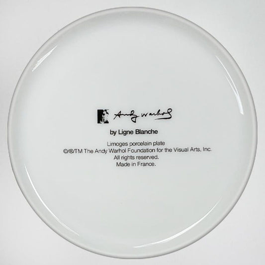Andy Warhol (1928-1987), "Self Portrait (Yellow)" Framed Limoges Porcelain Plate.