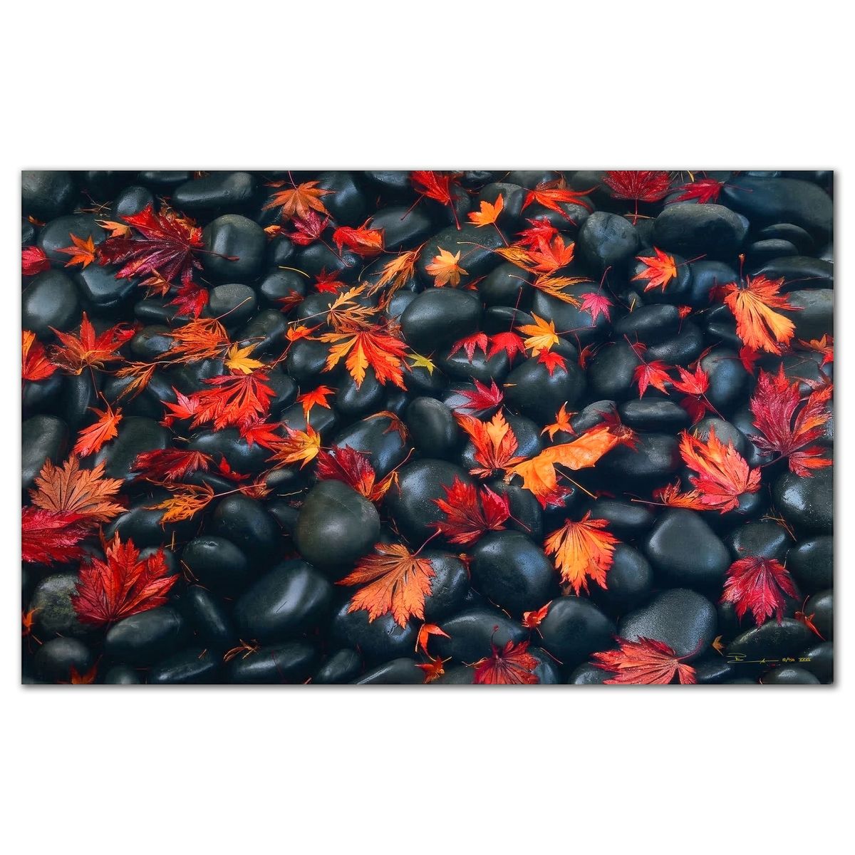 Peter Lik- Limited Edition Photograph "Autumn Moods"