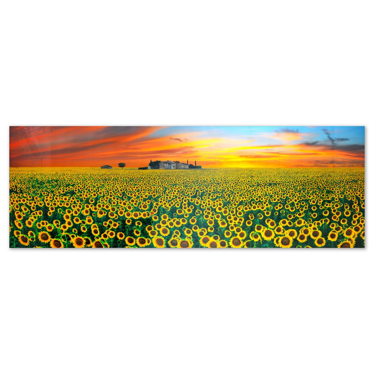 Peter Lik- Limited Edition Photograph "Summer Romance"