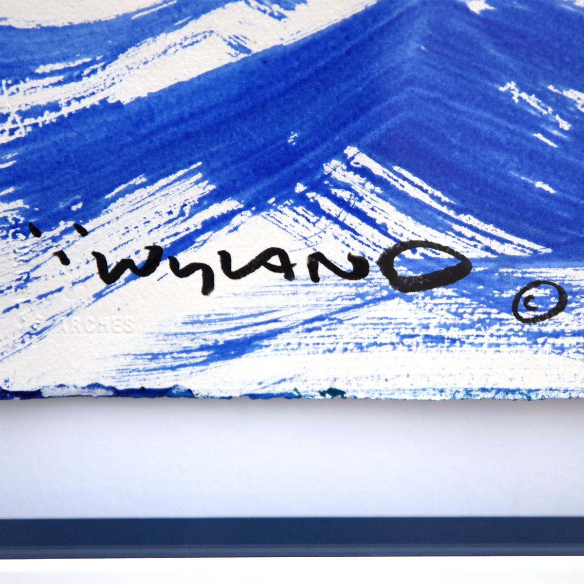Wyland- Original Sumi Ink Painting "Dolphin"