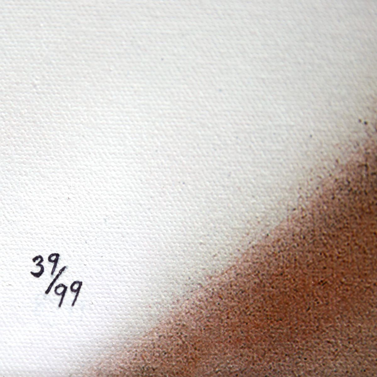Anja Van Herle- Giclee on Canvas "Too Long Three"