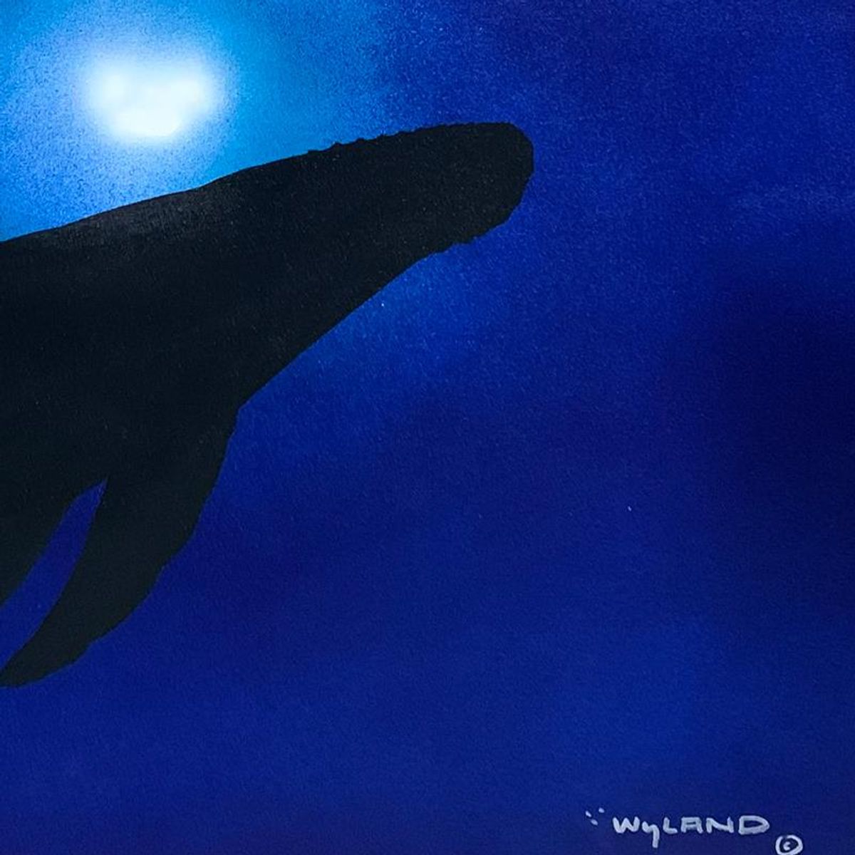 Wyland, Framed Original Painting on Canvas, Hand Signed by the artist and with a letter of authenticity.