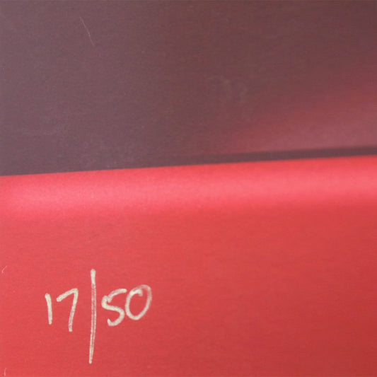 Des Taylor- Chromatic pigment ink on PhotoRag fine art paper "Red Rokkit 7"