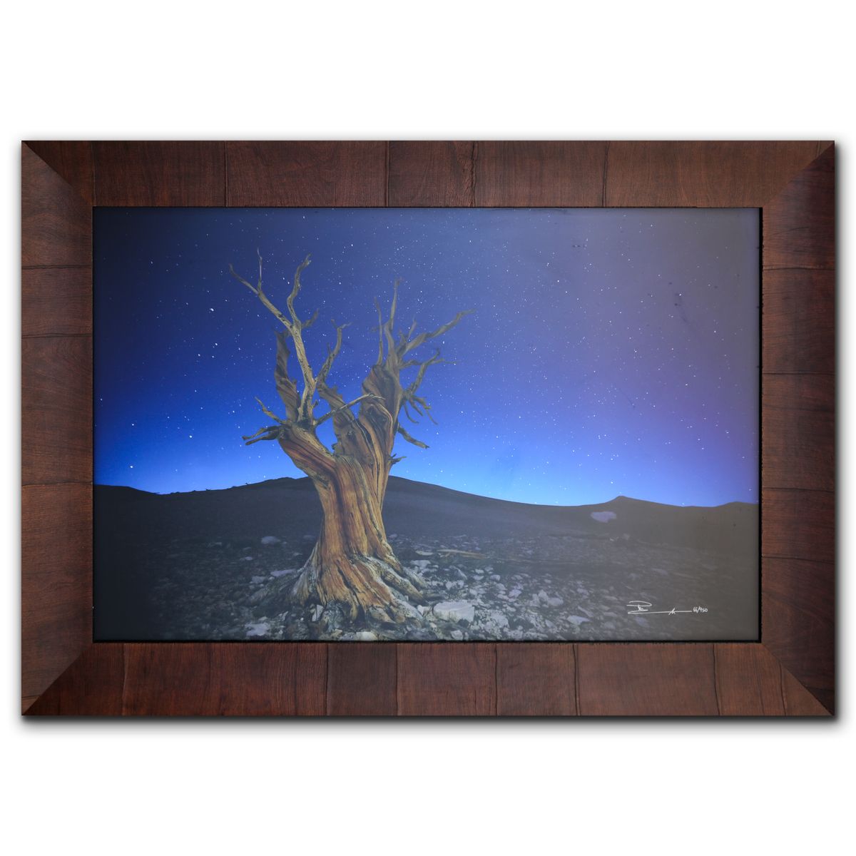 Peter Lik- Limited Edition Photograph "Starry Night"