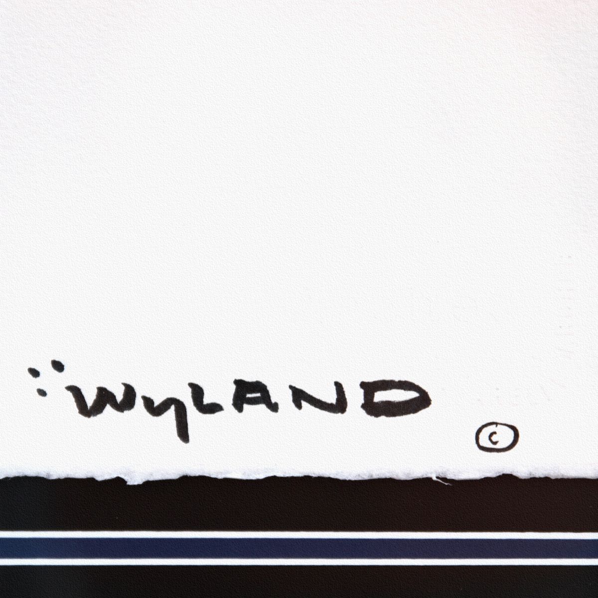 Wyland- Original Sumi Ink Painting "Dolphin"