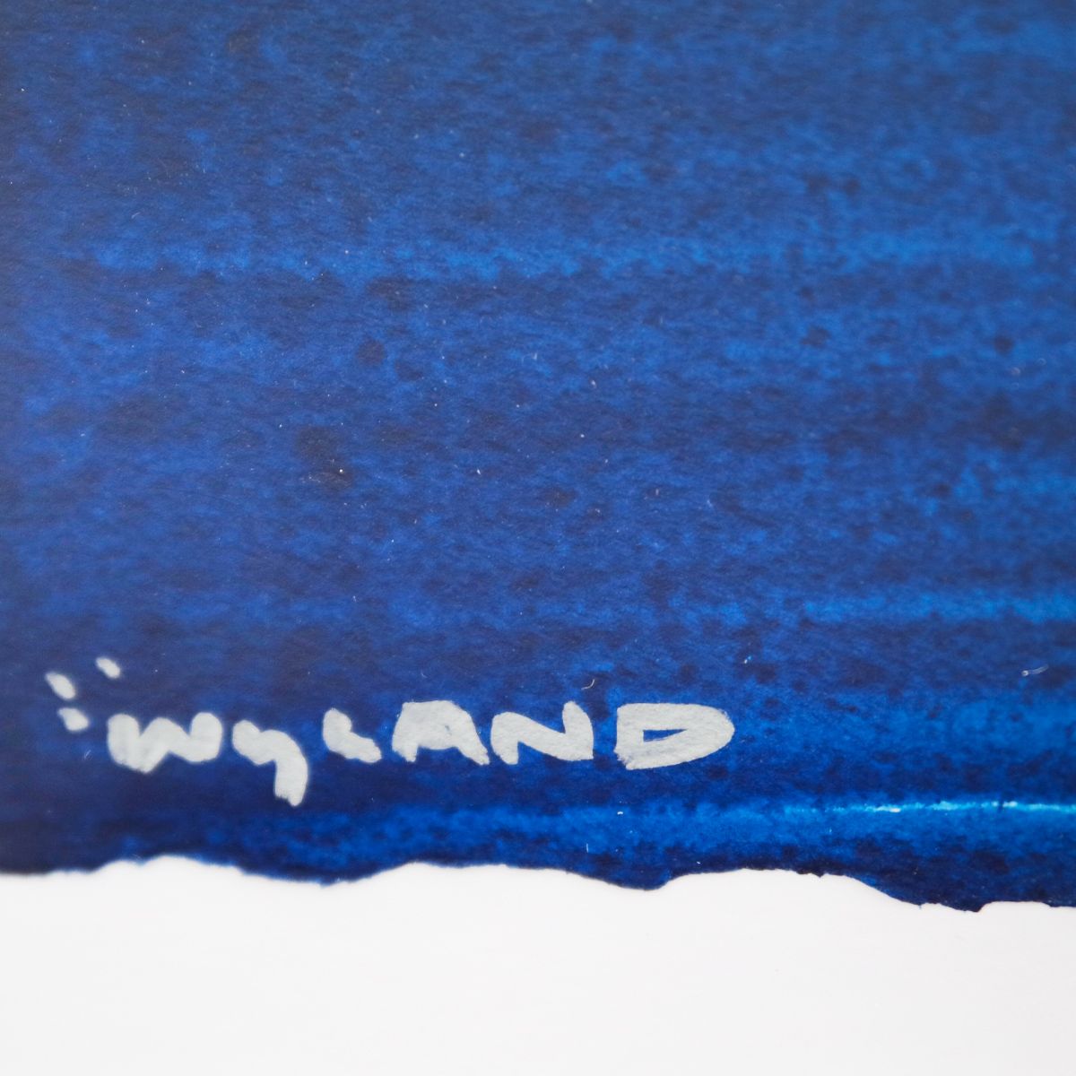 Wyland- Original Watercolor Painting on Deckle Edge Paper "Fluke"